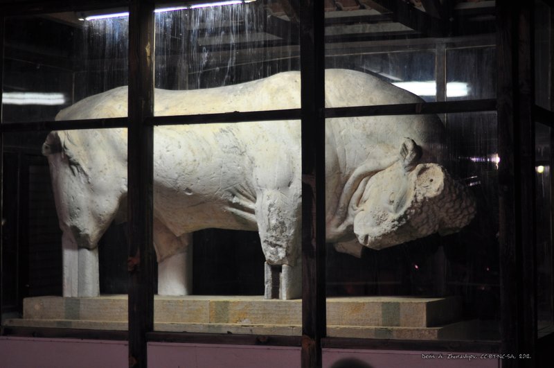 Image 0689_2012-06-10_02-46_D90.jpg