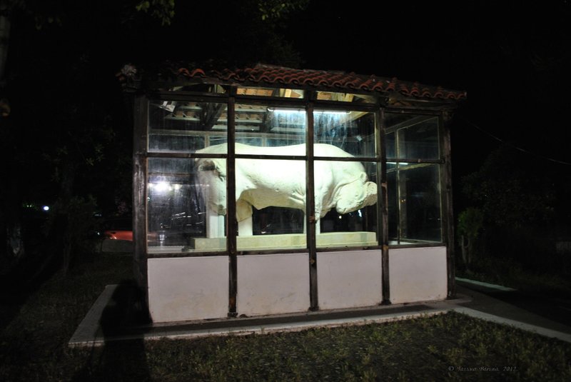 Image 0690_2012-06-10_02-48_D3000.jpg