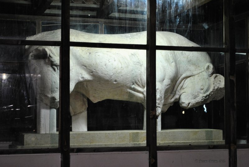 Image 0691_2012-06-10_02-48_D3000.jpg