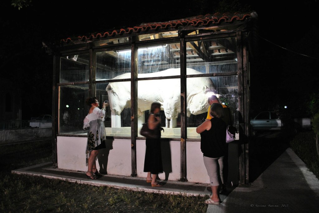 Image 0693_2012-06-10_02-50_D3000.jpg