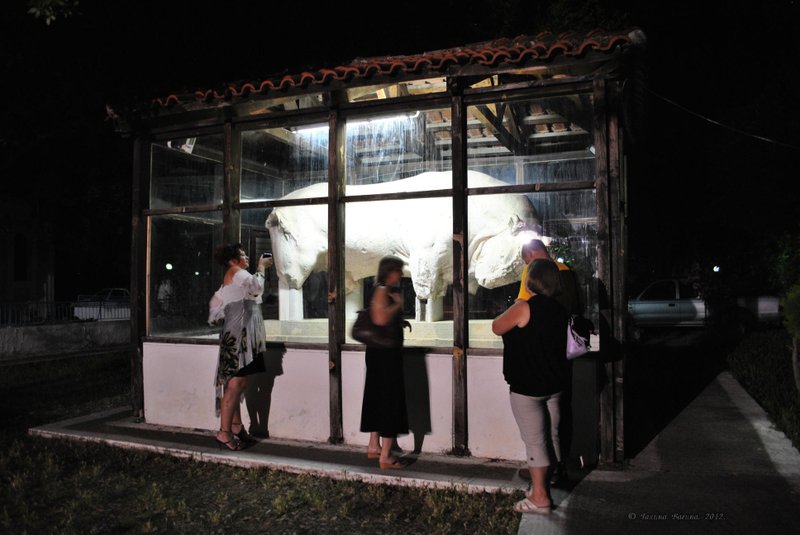 Image 0693_2012-06-10_02-50_D3000.jpg