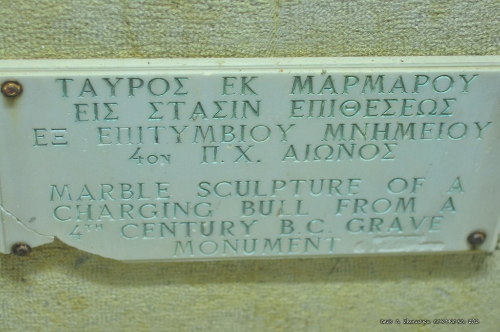 Image 0695_2012-06-10_02-53_D90.jpg