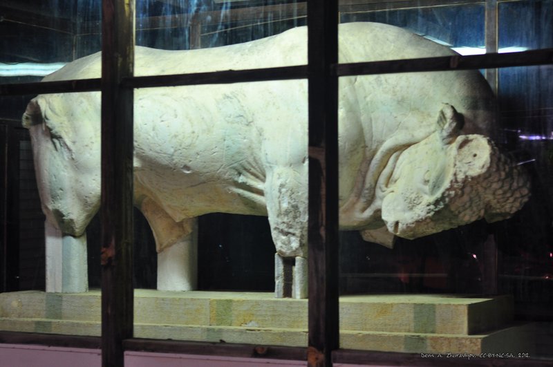 Image 0697_2012-06-10_02-54_D90.jpg