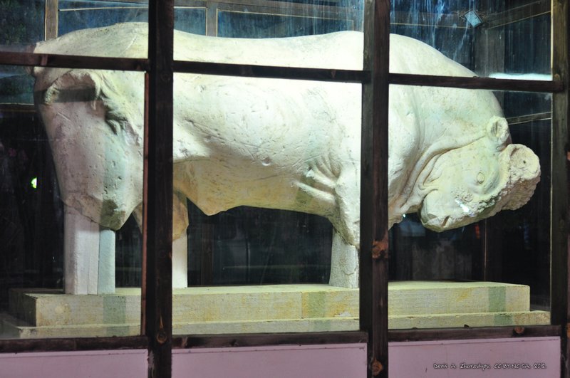 Image 0698_2012-06-10_02-54_D90.jpg