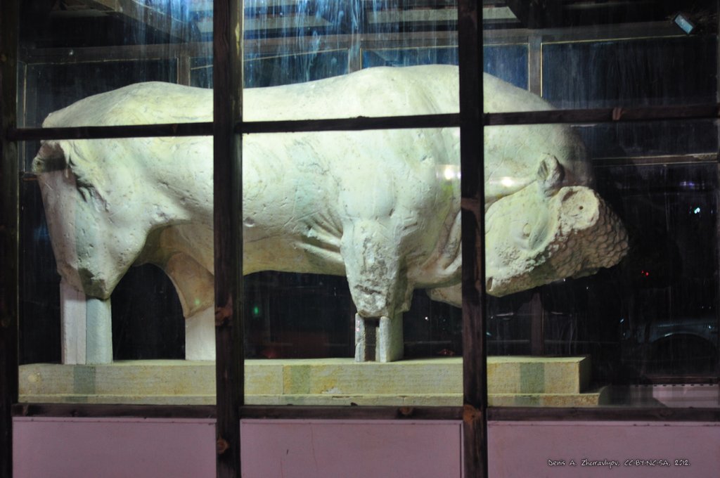 Image 0699_2012-06-10_02-55_D90.jpg