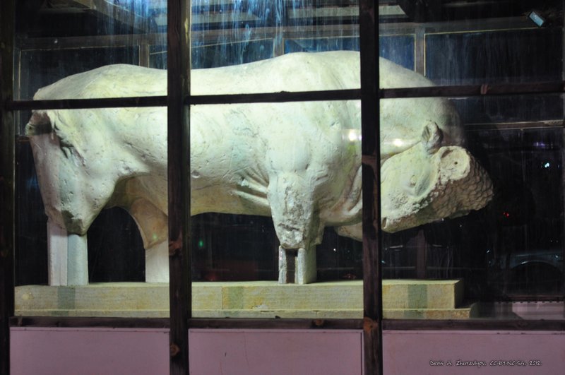 Image 0699_2012-06-10_02-55_D90.jpg