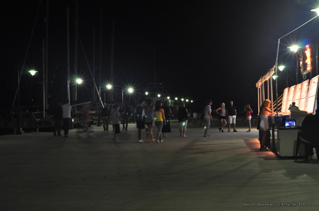 Image 0700_2012-06-10_02-57_D90.jpg