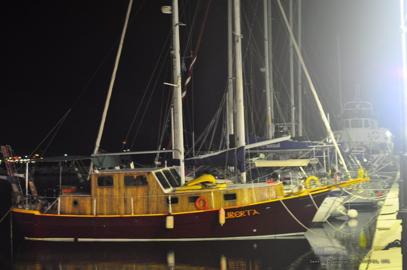 Image 0713_2012-06-10_03-17_D90.jpg