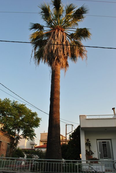 Image 0717_2012-06-10_10-45_D3000.jpg