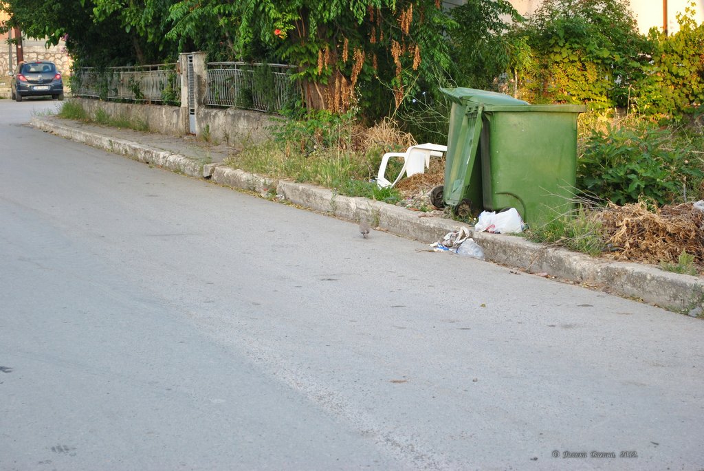 Image 0718_2012-06-10_10-45_D3000.jpg
