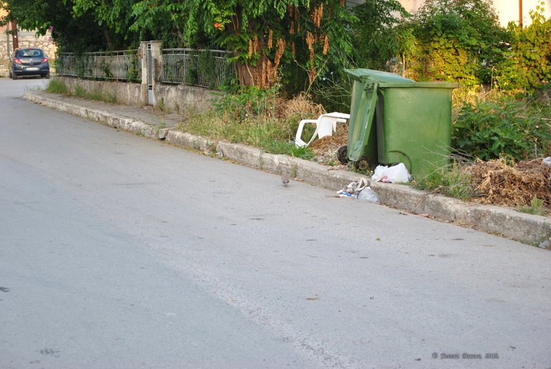 Image 0718_2012-06-10_10-45_D3000.jpg