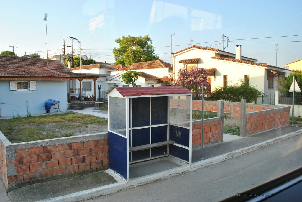 Image 0721_2012-06-10_11-09_D3000.jpg