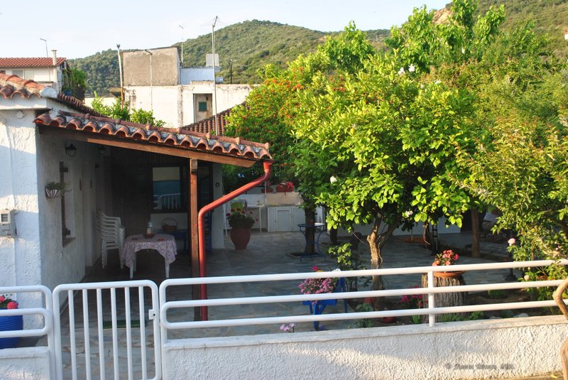 Image 0724_2012-06-10_11-15_D3000.jpg