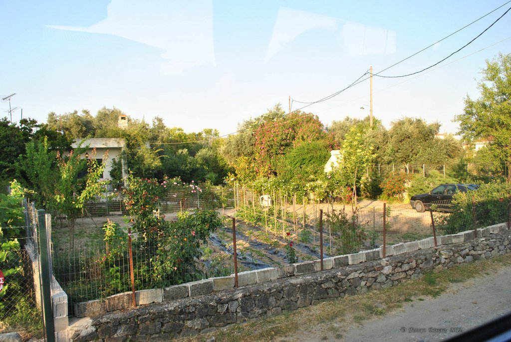 Image 0727_2012-06-10_11-21_D3000.jpg