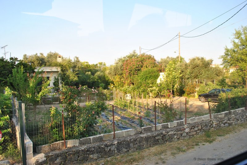 Image 0727_2012-06-10_11-21_D3000.jpg