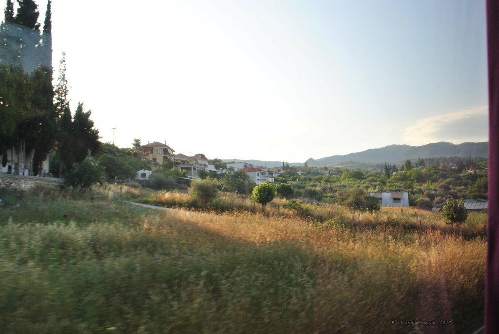 Image 0730_2012-06-10_11-32_D3000.jpg