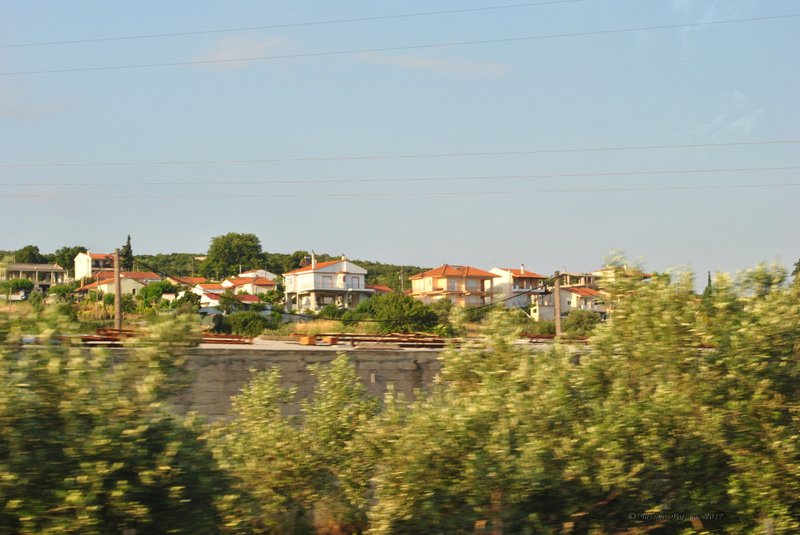 Image 0731_2012-06-10_11-33_D3000.jpg