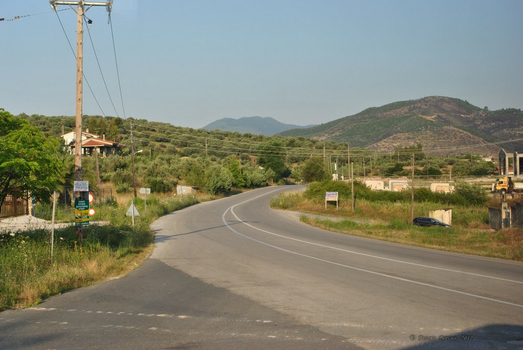 Image 0732_2012-06-10_11-33_D3000.jpg