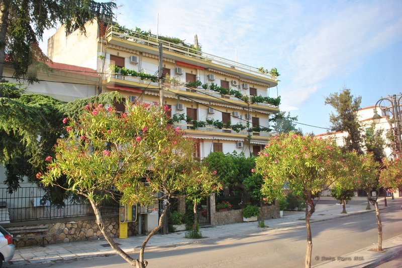 Image 0734_2012-06-10_11-45_D3000.jpg