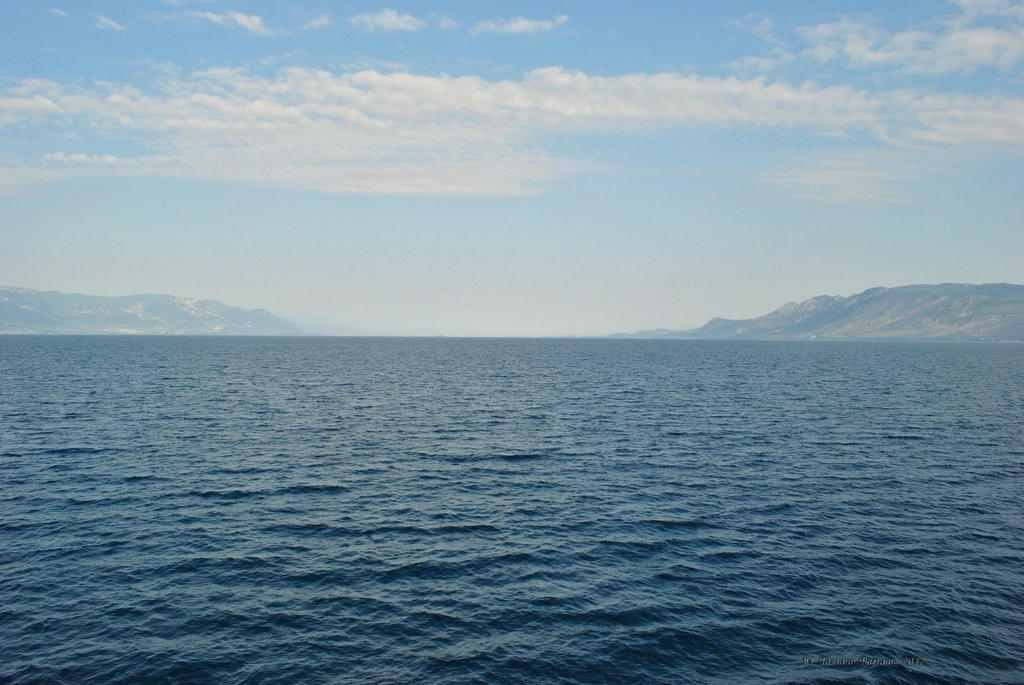 Image 0764_2012-06-10_12-30_D3000.jpg