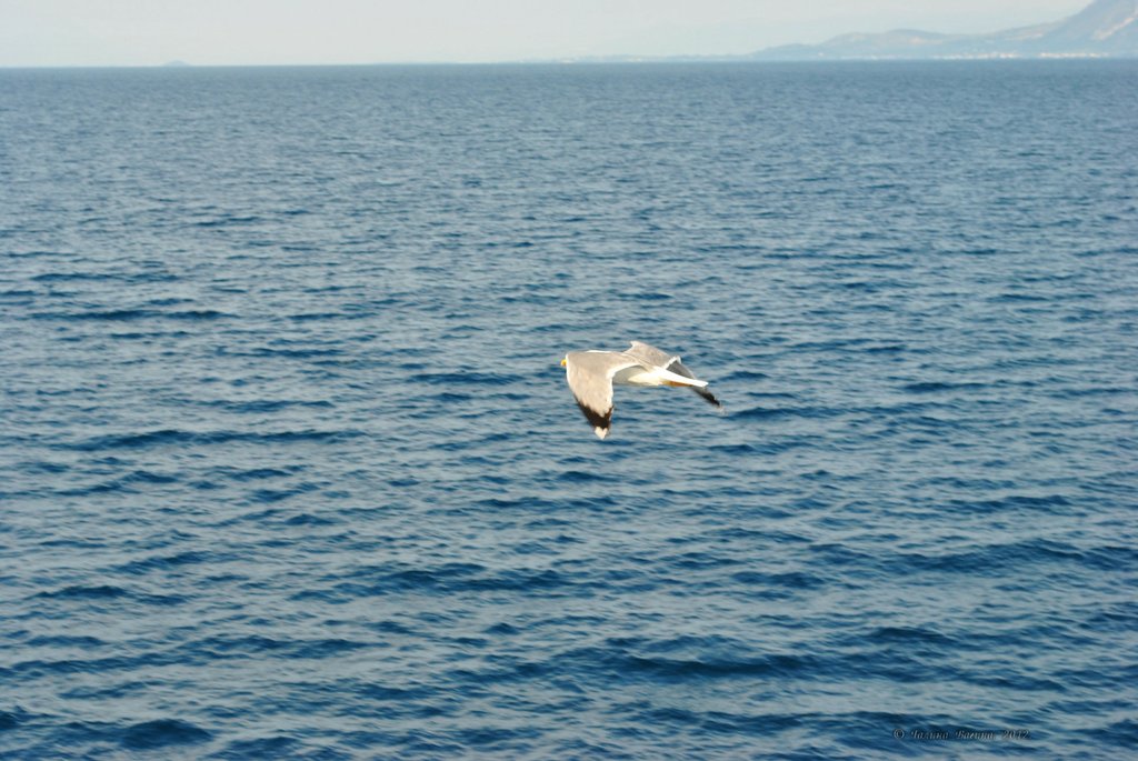 Image 0774_2012-06-10_12-36_D3000.jpg