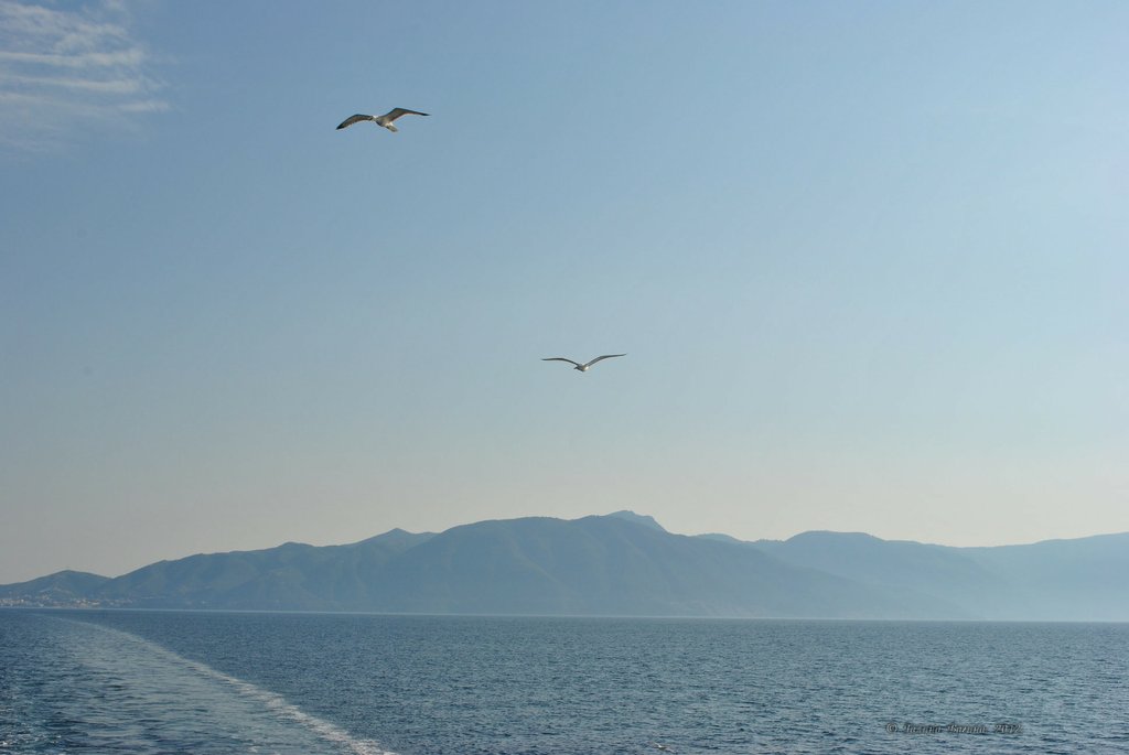 Image 0775_2012-06-10_12-37_D3000.jpg