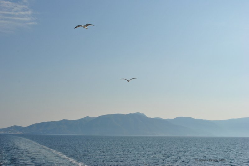 Image 0775_2012-06-10_12-37_D3000.jpg