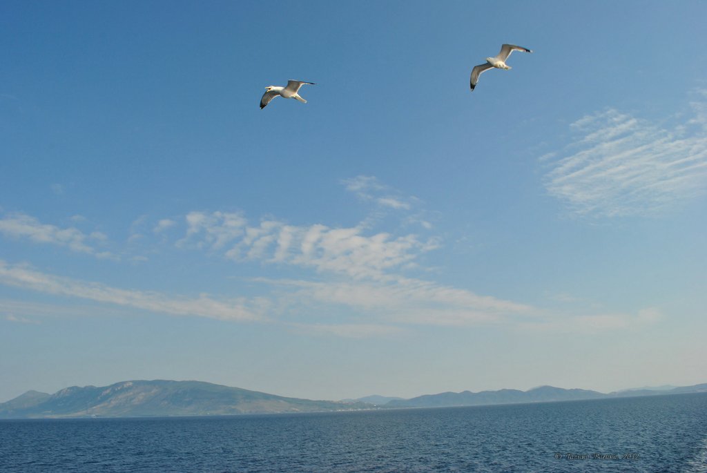 Image 0776_2012-06-10_12-37_D3000.jpg