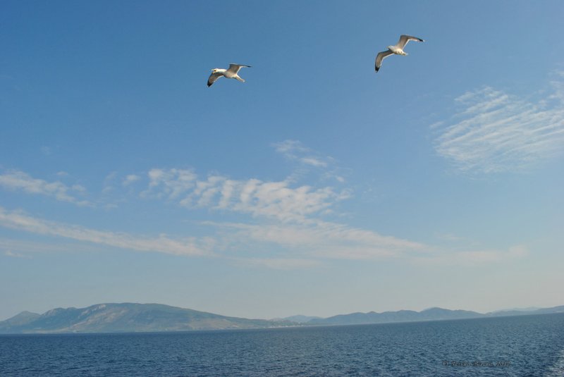 Image 0776_2012-06-10_12-37_D3000.jpg