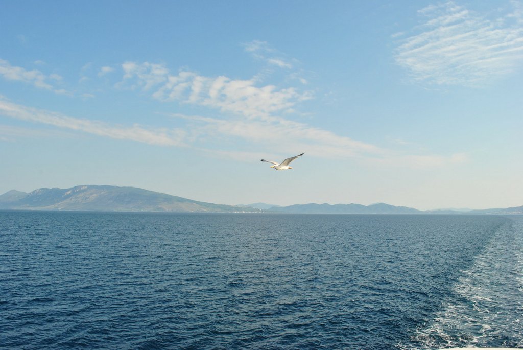 Image 0777_2012-06-10_12-37_D3000.jpg