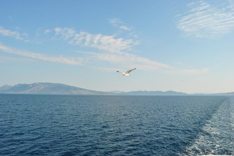 Image 0777_2012-06-10_12-37_D3000.jpg