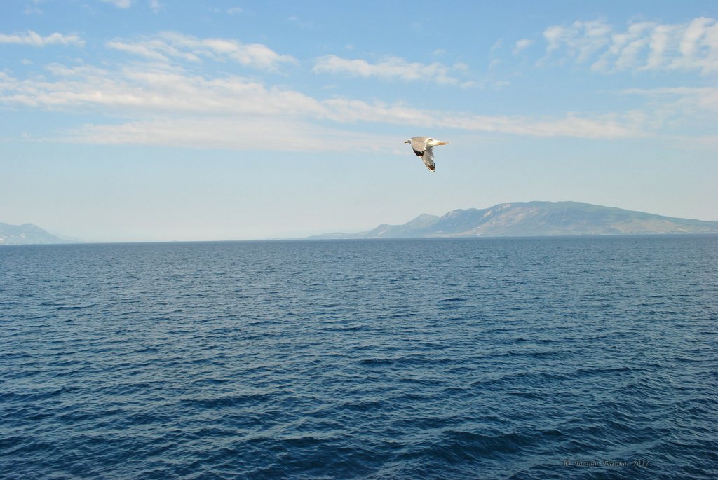 Image 0778_2012-06-10_12-37_D3000.jpg