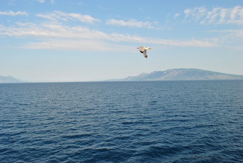 Image 0778_2012-06-10_12-37_D3000.jpg