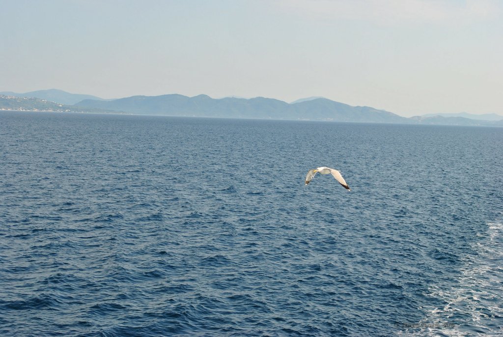 Image 0779_2012-06-10_12-38_D3000.jpg