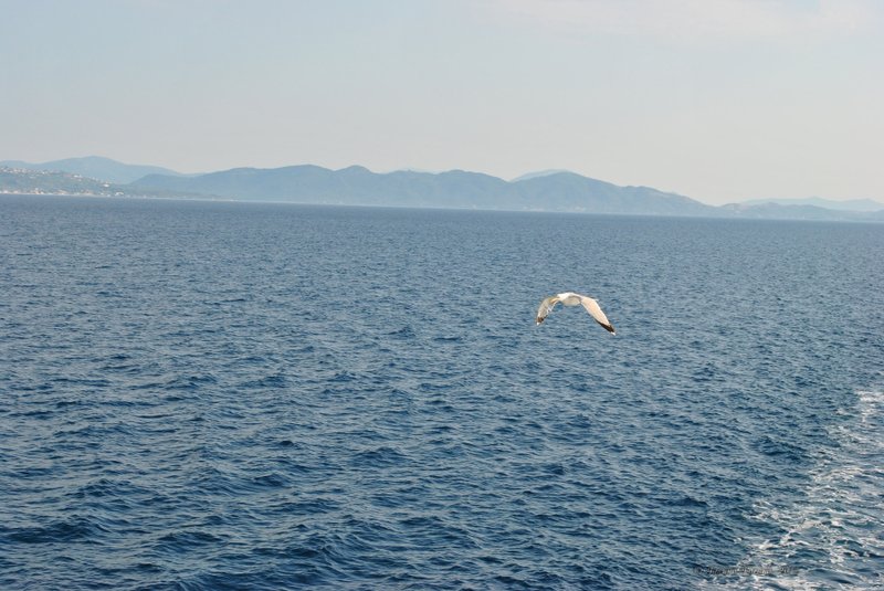 Image 0779_2012-06-10_12-38_D3000.jpg