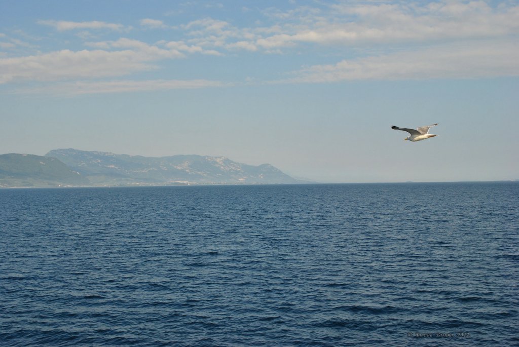 Image 0780_2012-06-10_12-38_D3000.jpg