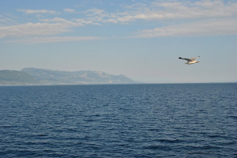 Image 0780_2012-06-10_12-38_D3000.jpg