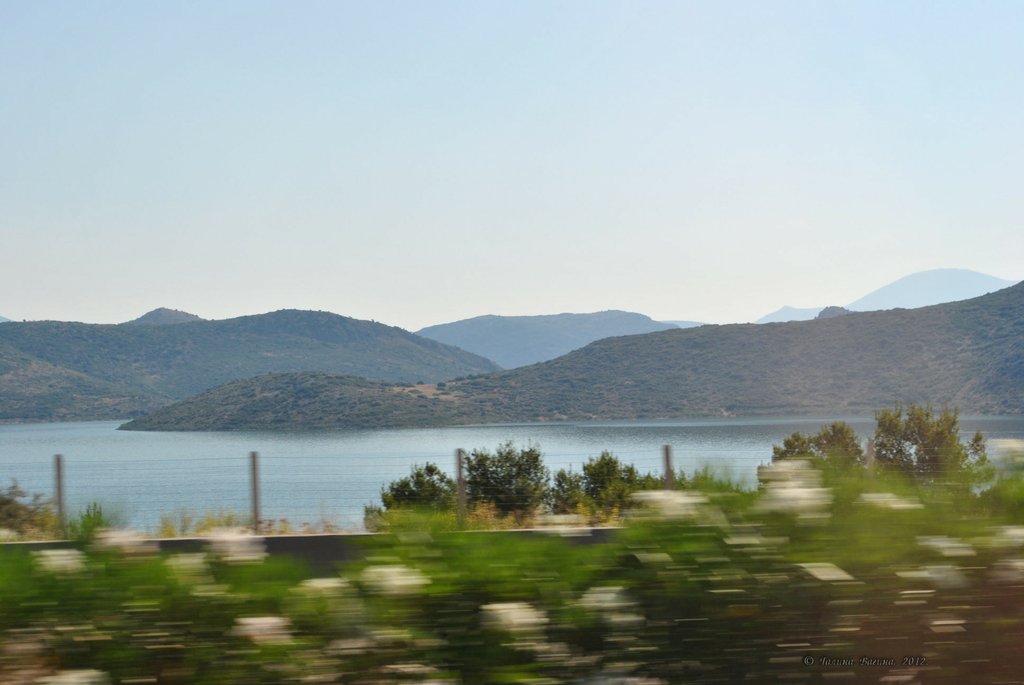 Image 0786_2012-06-10_13-29_D3000.jpg