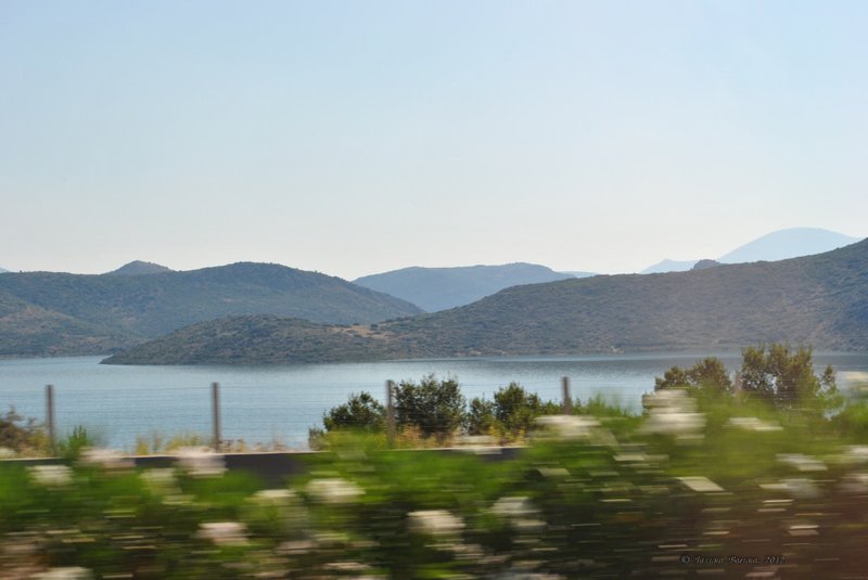 Image 0786_2012-06-10_13-29_D3000.jpg