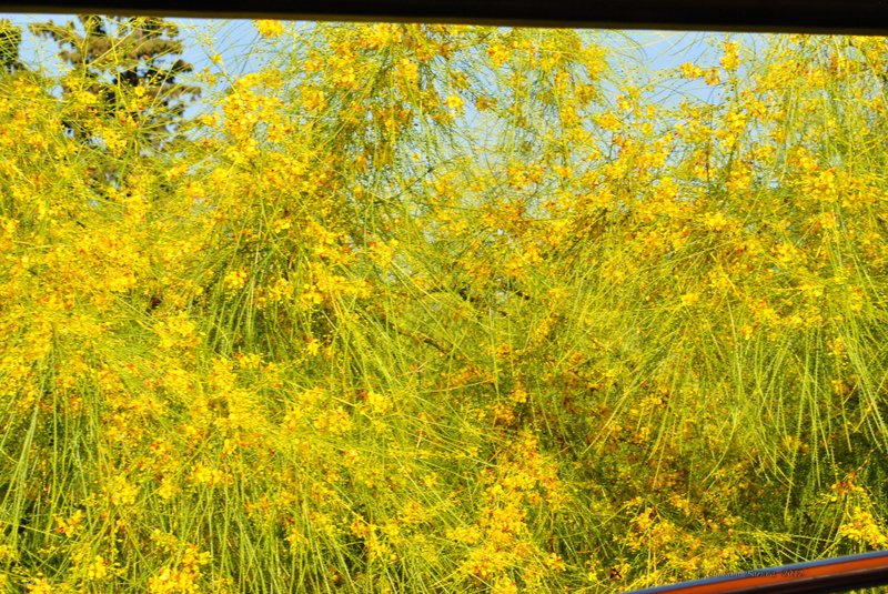 Image 0827_2012-06-11_13-16_D3000.jpg