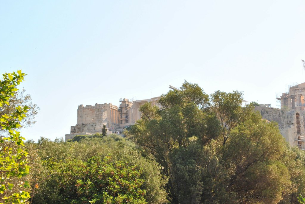 Image 0828_2012-06-11_13-16_D3000.jpg