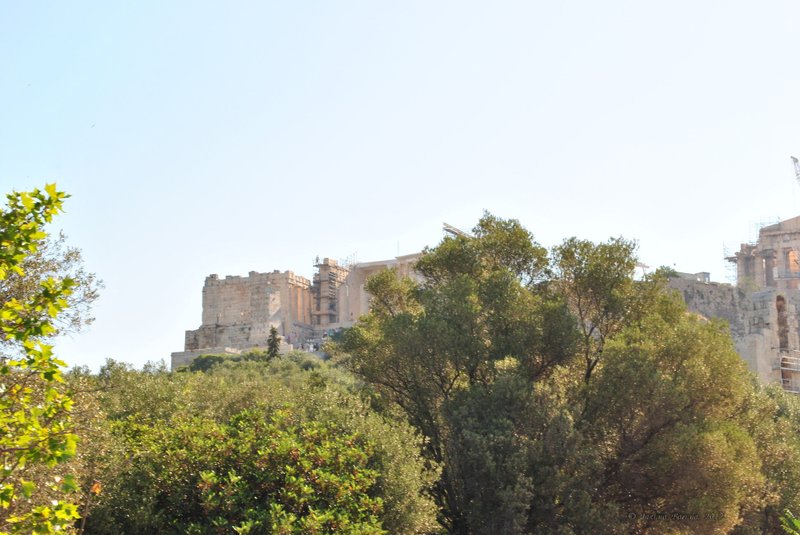 Image 0828_2012-06-11_13-16_D3000.jpg