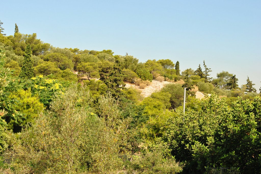 Image 0829_2012-06-11_13-16_D3000.jpg