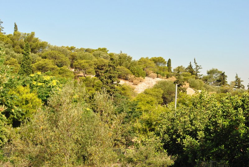 Image 0829_2012-06-11_13-16_D3000.jpg