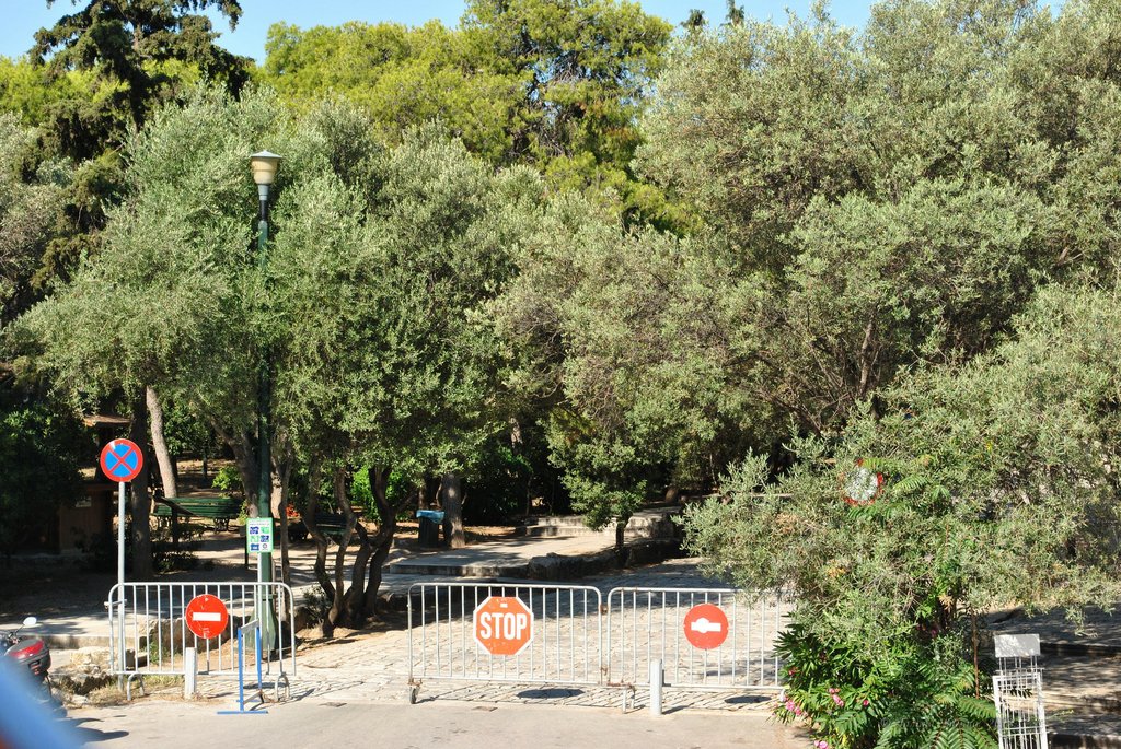 Image 0830_2012-06-11_13-16_D3000.jpg