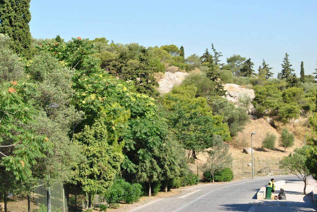 Image 0831_2012-06-11_13-19_D3000.jpg