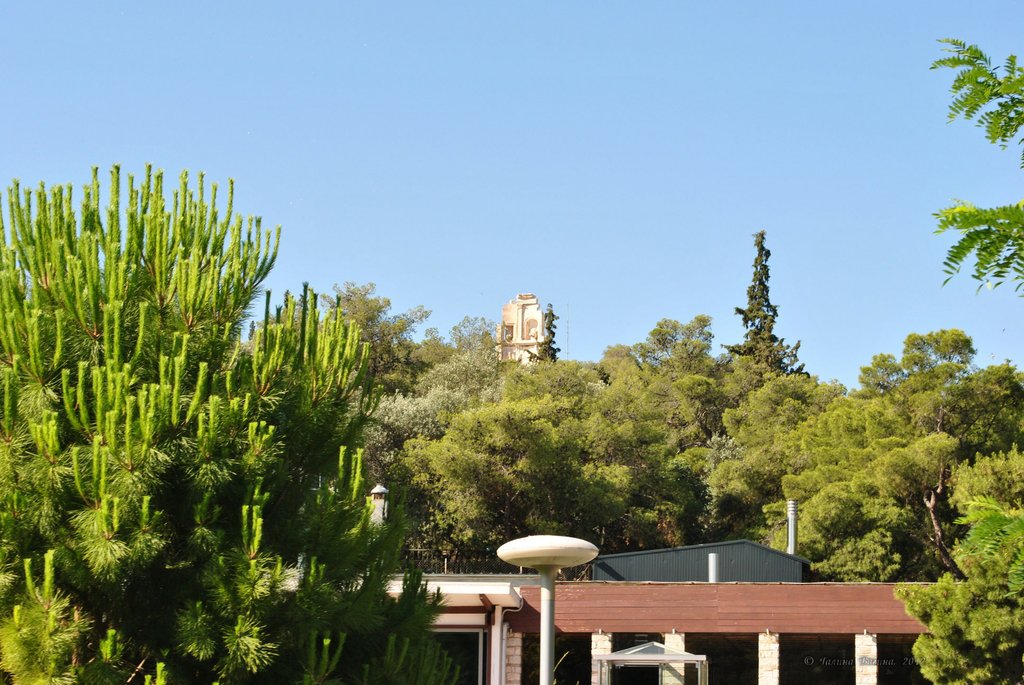 Image 0833_2012-06-11_13-19_D3000.jpg