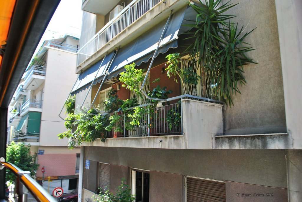 Image 0837_2012-06-11_13-21_D3000.jpg