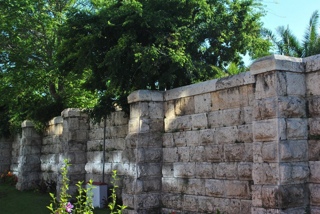 Image 0844_2012-06-11_13-27_D3000.jpg