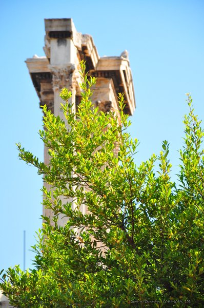 Image 0845_2012-06-11_13-27_D90.jpg